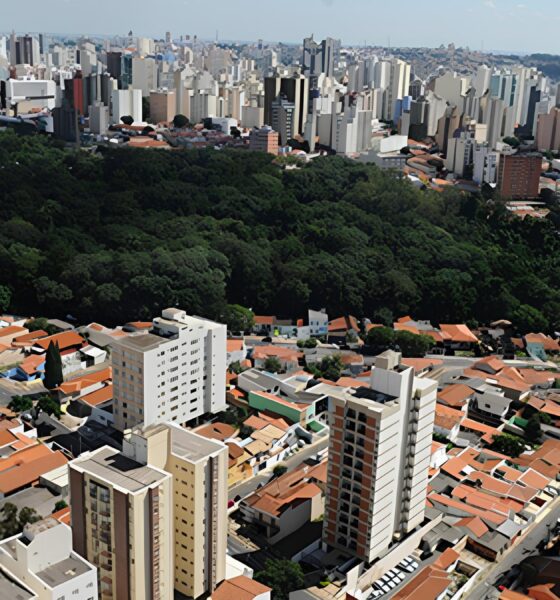 Concurso da Prefeitura de Campinas SP: Uma Nova Chance para Quem Sonha com Estabilidade e Crescimento Profissional 13 Concurso da Prefeitura de Campinas SP Uma Nova Chance para Quem Sonha com Estabilidade e Crescimento Profissional