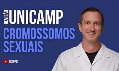 Concursos Unicamp 2025 Descubra Como Garantir Sua Vaga em Um dos Processos Seletivos Mais Cobi ados do Pa s