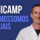 Concursos Unicamp 2025 Descubra Como Garantir Sua Vaga em Um dos Processos Seletivos Mais Cobi ados do Pa s