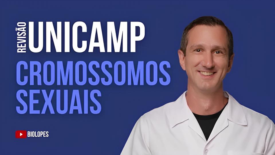 Concursos Unicamp 2025 Descubra Como Garantir Sua Vaga em Um dos Processos Seletivos Mais Cobi ados do Pa s
