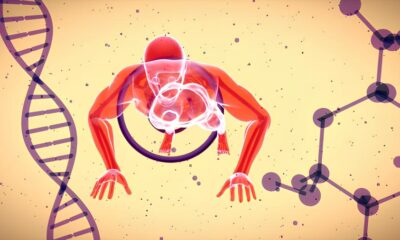 Descobrindo o Futuro da Bioqu mica Como uma Bolsa de Inicia o Cient fica Pode Mudar Sua Vida e a Ci ncia