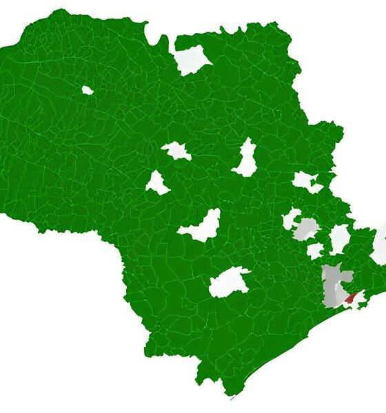 Encontrando Hortol ndia O Guia Definitivo para Explorar a Cidade Perdida no Cora o de S o Paulo