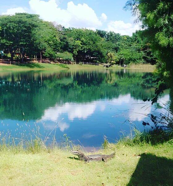 Fugindo do Caos 15 Retiros Naturais Incr veis ao Redor do Mundo Para Descansar e Rejuvenescer