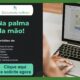 Hortol ndia A P rola Encravada no Cora o do Estado de S o Paulo