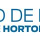 Hortol ndia O Segredo da Cidade que Cresceu Entre Trilhos e Sonhos
