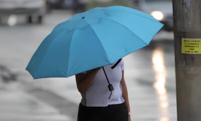Hortol ndia sob o Signo das Nuvens O Dia em que o C u Decidiu Brincar de Esconde Esconde