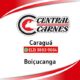 Mais de 100 Vagas de Emprego em Caraguatatuba Como Garantir a Sua Oportunidade na Costa Verde