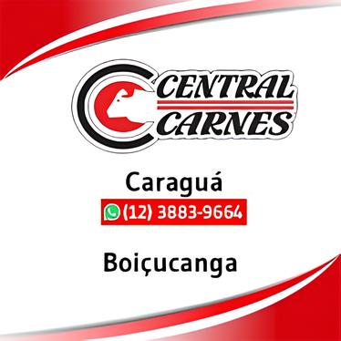 Mais de 100 Vagas de Emprego em Caraguatatuba Como Garantir a Sua Oportunidade na Costa Verde