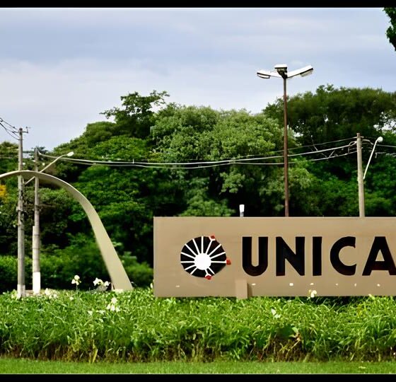 O Futuro da Educação Superior: Como a Unicamp Planeja Redefinir o Ensino e a Internacionalização no Brasil 13 O Futuro da Educa o Superior Como a Unicamp Planeja Redefinir o Ensino e a Internacionaliza o no Brasil