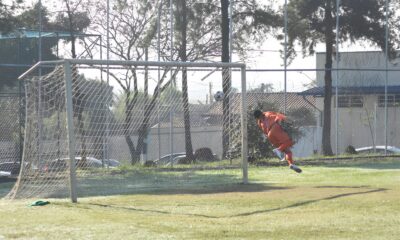 O Jogo Que Parou Hortol ndia Como o Futebol Amador Est Revolucionando a Cidade e Cativando Cora es