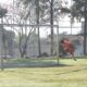 O Jogo Que Parou Hortol ndia Como o Futebol Amador Est Revolucionando a Cidade e Cativando Cora es