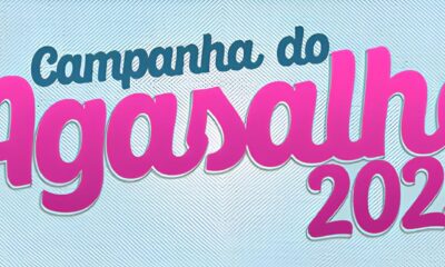 O Que as Not cias de Hortol ndia Revelam Sobre o Futuro do Brasil