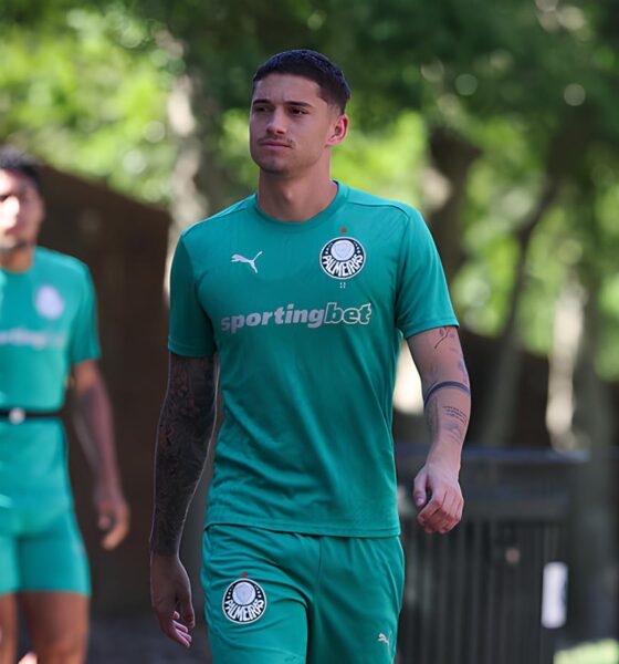 O Verdão na Encruzilhada: Como o Palmeiras Pode Garantir a Primeira Colocação com Mudanças Táticas Decisivas 13 O Verd o na Encruzilhada Como o Palmeiras Pode Garantir a Primeira Coloca o com Mudan as T ticas Decisivas