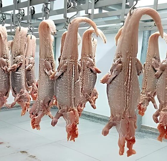 Por Que Esta Vaga de AUXILIAR DE SERVIÇOS GERAIS no Frigorífico Hortolândia Está Mudando Vidas? 13 Por Que Esta Vaga de AUXILIAR DE SERVI OS GERAIS no Frigor fico Hortol ndia Est Mudando Vidas