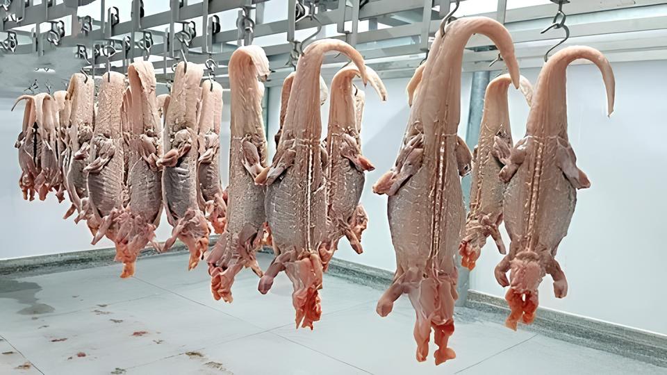 Por Que Esta Vaga de AUXILIAR DE SERVIÇOS GERAIS no Frigorífico Hortolândia Está Mudando Vidas? 12 Por Que Esta Vaga de AUXILIAR DE SERVI OS GERAIS no Frigor fico Hortol ndia Est Mudando Vidas