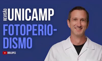 Por Que os 11 Novos Editais do Concurso UNICAMP S o Mais do Que Apenas Oportunidades de Carreira