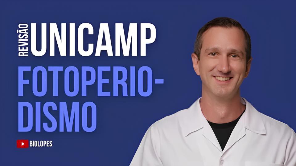 Por Que os 11 Novos Editais do Concurso UNICAMP São Mais do Que Apenas Oportunidades de Carreira? 12 Por Que os 11 Novos Editais do Concurso UNICAMP S o Mais do Que Apenas Oportunidades de Carreira