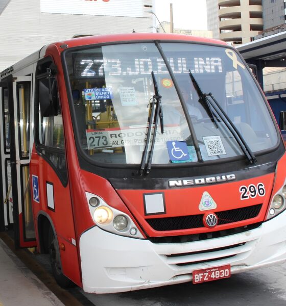 Por que as mudanças nas linhas 273 e 384 de Campinas podem impactar a sua rotina? 13 Por que as mudan as nas linhas 273 e 384 de Campinas podem impactar a sua rotina