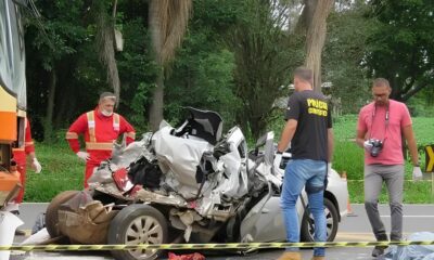Quando a Rodovia se Torna um Palco de Horror O Caso do Atropelamento em Holambra que Chocou o Pa s