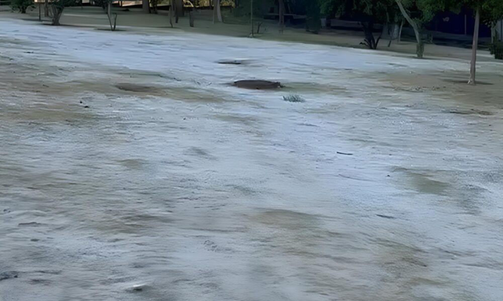 Quando o Frio Bate Porta Como a Noite Mais Gelada em Quatro Anos Transformou Campinas em um Cen rio Invernal