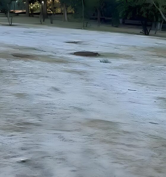 Quando o Frio Bate Porta Como a Noite Mais Gelada em Quatro Anos Transformou Campinas em um Cen rio Invernal