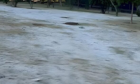 Quando o Frio Bate Porta Como a Noite Mais Gelada em Quatro Anos Transformou Campinas em um Cen rio Invernal