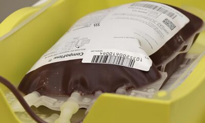 Quando o Sangue Fica Mais Frio Como a Queda nas Doa es no Inverno P e Vidas em Risco