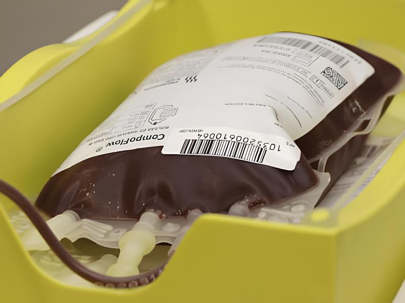 Quando o Sangue Fica Mais Frio: Como a Queda nas Doações no Inverno Põe Vidas em Risco 12 Quando o Sangue Fica Mais Frio Como a Queda nas Doa es no Inverno P e Vidas em Risco