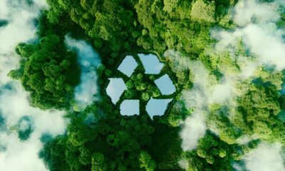 Quem S o os Guardi es do Futuro O Papel Transformador do Coordenador de Meio Ambiente no Brasil