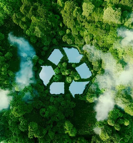 Quem São os Guardiões do Futuro? O Papel Transformador do Coordenador de Meio Ambiente no Brasil 13 Quem S o os Guardi es do Futuro O Papel Transformador do Coordenador de Meio Ambiente no Brasil