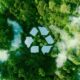 Quem S o os Guardi es do Futuro O Papel Transformador do Coordenador de Meio Ambiente no Brasil