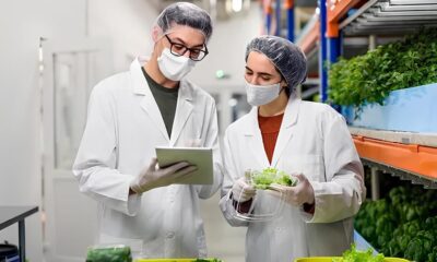 Recepcionista ou Assistente Administrativo A Porta de Entrada para uma Carreira Promissora na Maxsoy Alimentos