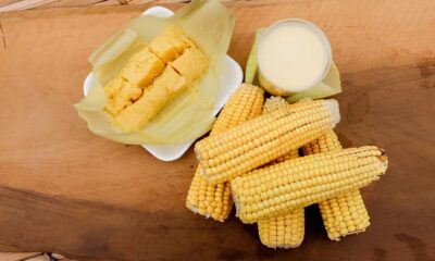 Sabores da Terra Jaguari na o Cora o do Interior Paulista em Um Festival Junino Inesquec vel