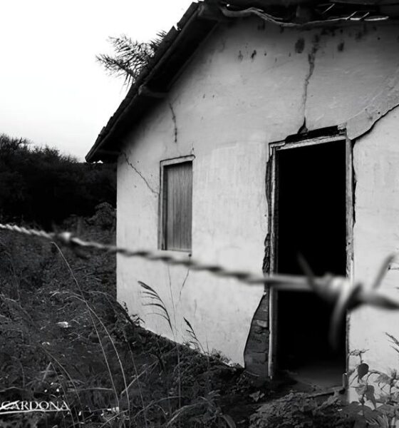 Tragédia nas Sombras: O Incêndio que Arrasou Vidas em Hortolândia 13 Trag dia nas Sombras O Inc ndio que Arrasou Vidas em Hortol ndia