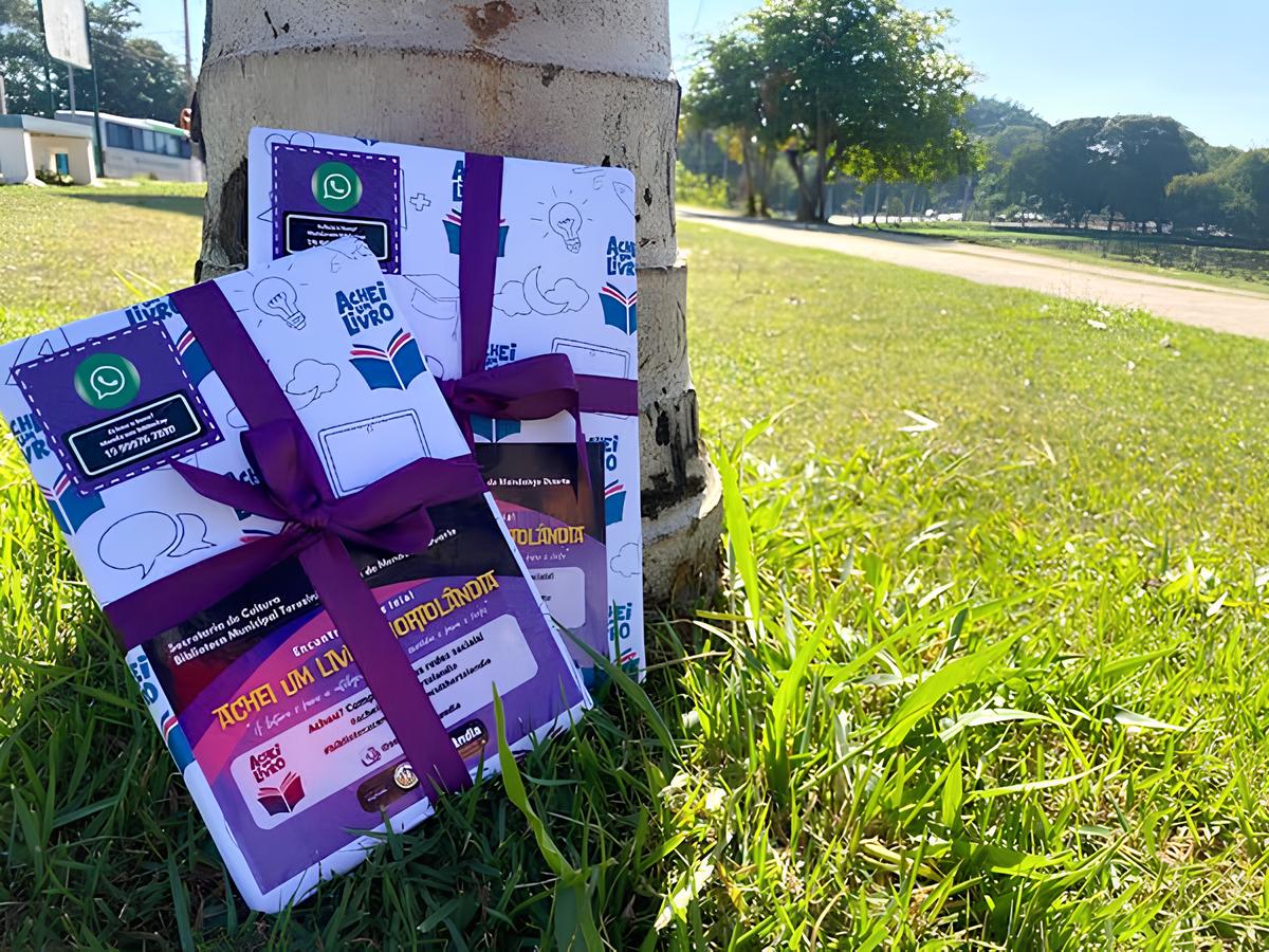 Um Convite à Leitura: Como 50 Livros Perdidos Podem Transformar Uma Cidade 12 Um Convite Leitura Como 50 Livros Perdidos Podem Transformar Uma Cidade