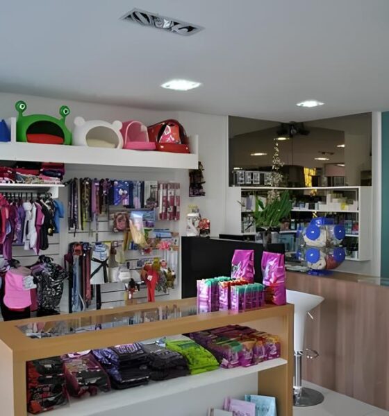 Um Novo Cap tulo na Conviv ncia Urbana O Espa o Pet do Campinas Shopping Est Redefinindo o Futuro dos Malls
