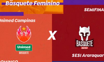 A Magia do Basquete Feminino Como Santos e o Litoral Paulista Est o no Epicentro de Uma Revolu o Esportiva