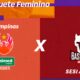 A Magia do Basquete Feminino Como Santos e o Litoral Paulista Est o no Epicentro de Uma Revolu o Esportiva