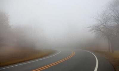 A Neblina Chegou Como o Inverno Est Transformando Nossas Estradas em Zonas de Risco