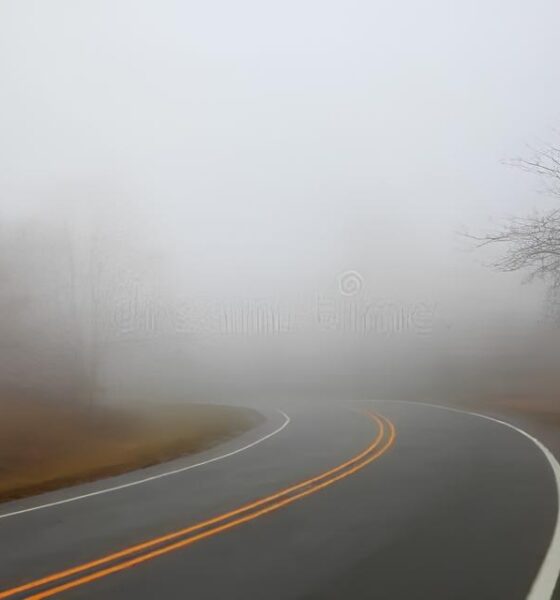 A Neblina Chegou Como o Inverno Est Transformando Nossas Estradas em Zonas de Risco