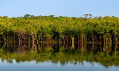 Amaz nia Um Olhar Para o Brasil A Exposi o Que Vai Mudar Como Voc Enxerga a Floresta e Seus Guardi es