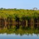 Amaz nia Um Olhar Para o Brasil A Exposi o Que Vai Mudar Como Voc Enxerga a Floresta e Seus Guardi es