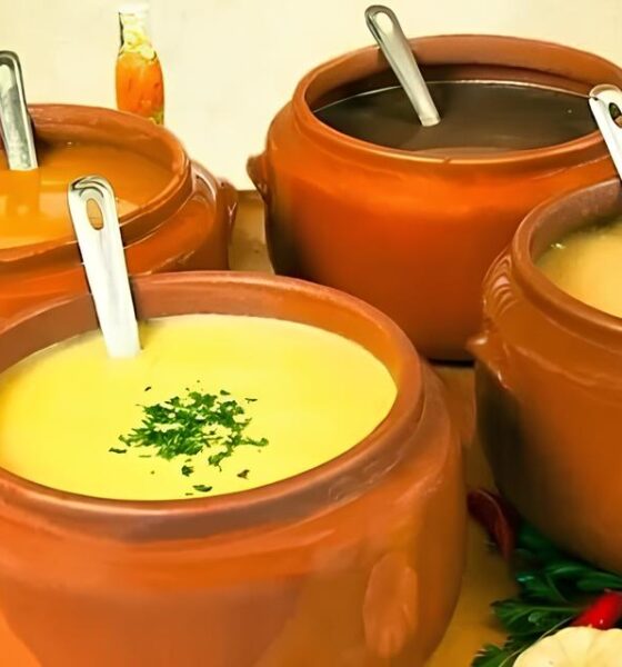 Bertioga Aquece Corações e Pratos: Como Uma Noite de Caldos Está Transformando a Solidariedade na Baixada Santista 13 Bertioga Aquece Cora es e Pratos Como Uma Noite de Caldos Est Transformando a Solidariedade na Baixada Santista
