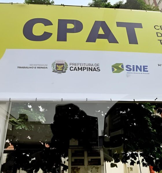 Campinas em Alta 739 Vagas de Emprego Dispon veis Como Garantir a Sua