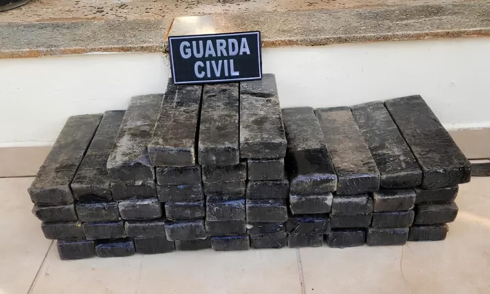 Como 40 Quilos de Maconha Escondidos em um Tambor Vermelho Revelaram a Complexa Teia do Tr fico no Interior de S o Paulo