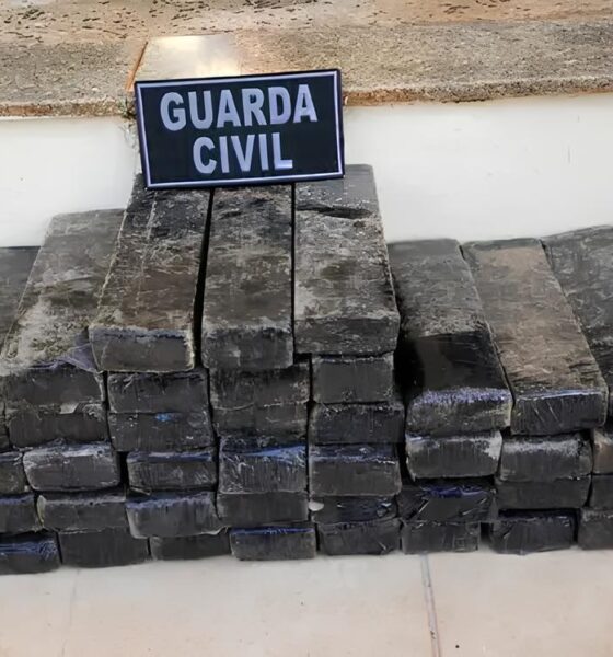 Como 40 Quilos de Maconha Escondidos em um Tambor Vermelho Revelaram a Complexa Teia do Tráfico no Interior de São Paulo 9 Como 40 Quilos de Maconha Escondidos em um Tambor Vermelho Revelaram a Complexa Teia do Tr fico no Interior de S o Paulo