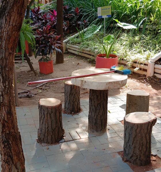 Como Hortol ndia Transforma o Parque Dorothy em um Novo Ref gio Urbano O Futuro do Lazer e da Sustentabilidade na Cidade