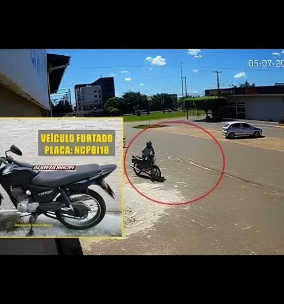 Como um Caso de Furto em Hortolândia Revela a Importância da Tecnologia e Vigilância na Segurança Pública 13 Como um Caso de Furto em Hortol ndia Revela a Import ncia da Tecnologia e Vigil ncia na Seguran a P blica