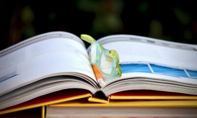 Concurso P blico de Hortol ndia As 36 Portas Abertas Para Transformar Sua Carreira E Como Entrar Por Elas