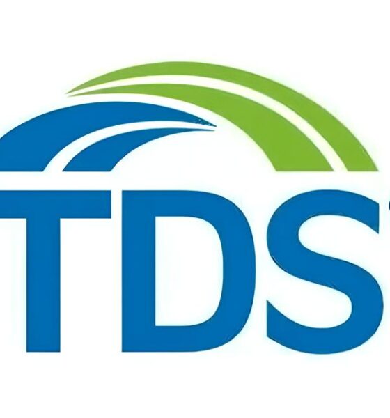 Construindo o Futuro Como a TDS Company Transforma Gestores de Projetos em L deres do Amanh